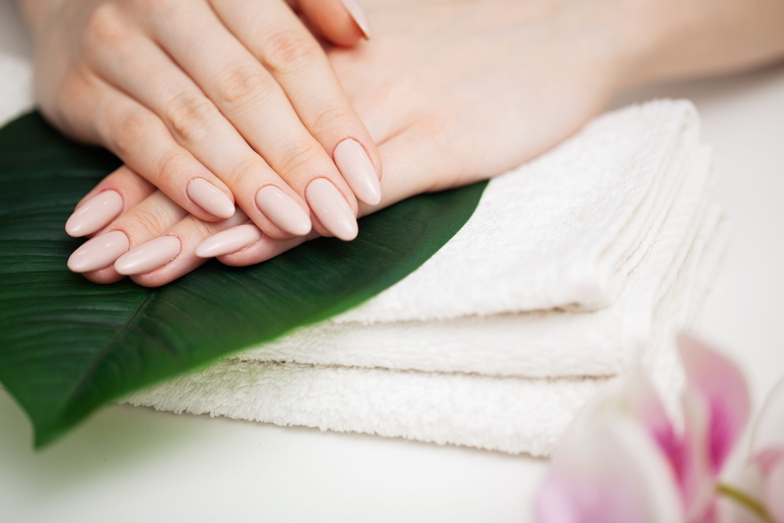 Nail care, woman demonstrates a fresh manicure done in a beauty studio.