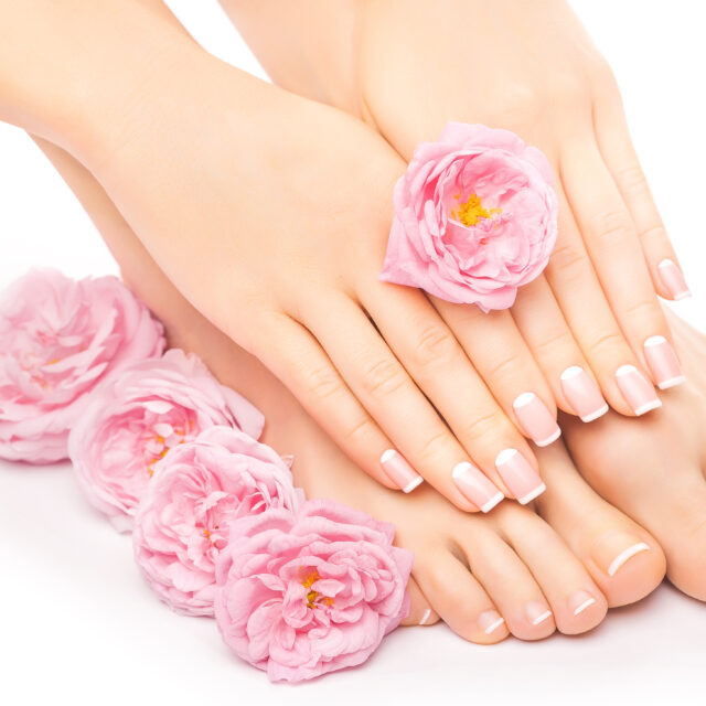 french pedicure and manicure with a pink rose flower isolated on the white